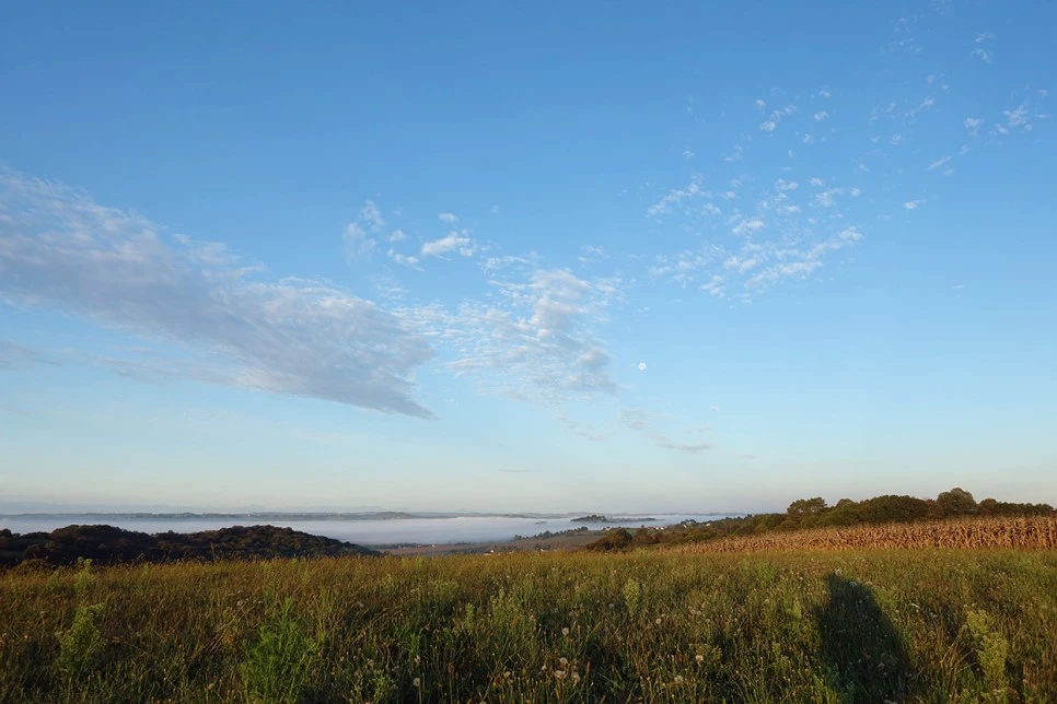 image_5141991221519039608635.jpg?type=w966