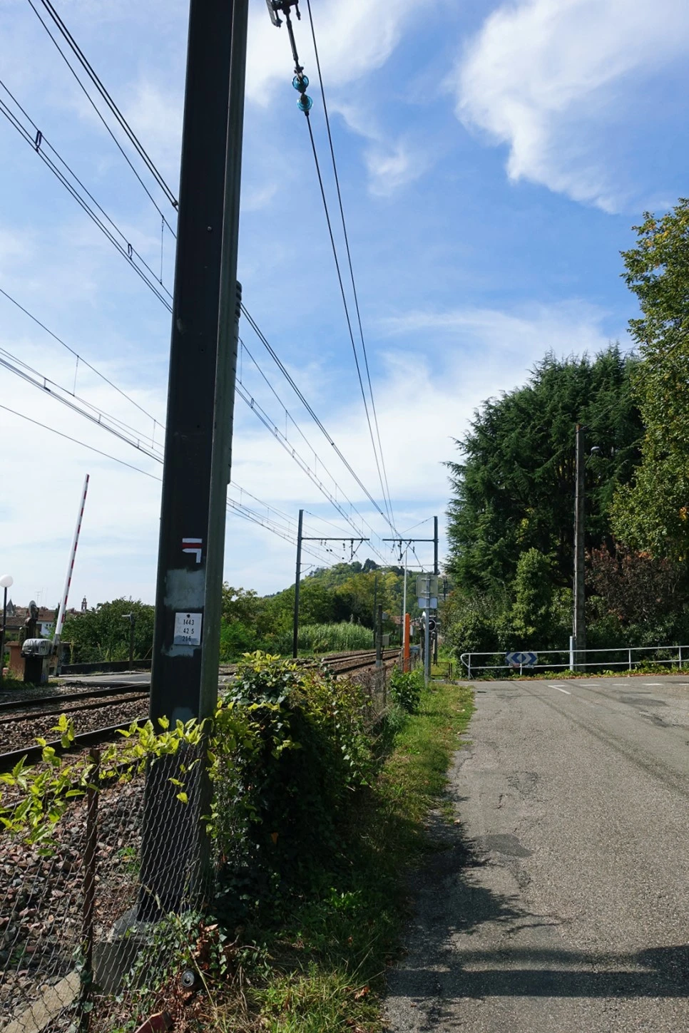 image_4947489061516860032421.jpg?type=w966