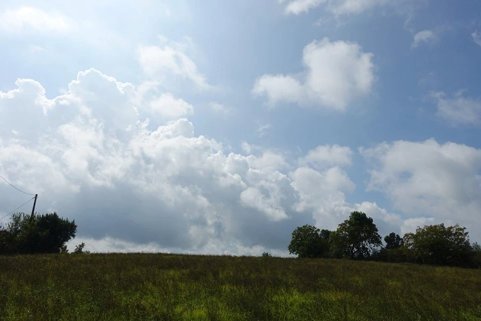 image_4160617501516117314648.jpg?type=w966