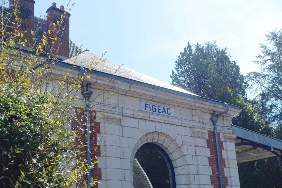 image_9881692121516374121924.jpg?type=w966