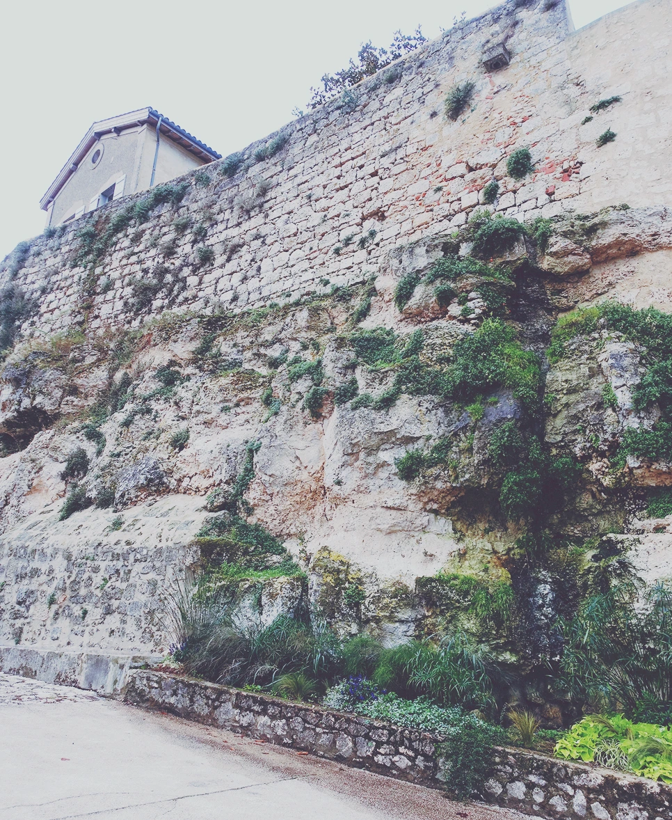 image_1812356981517114181229.jpg?type=w966