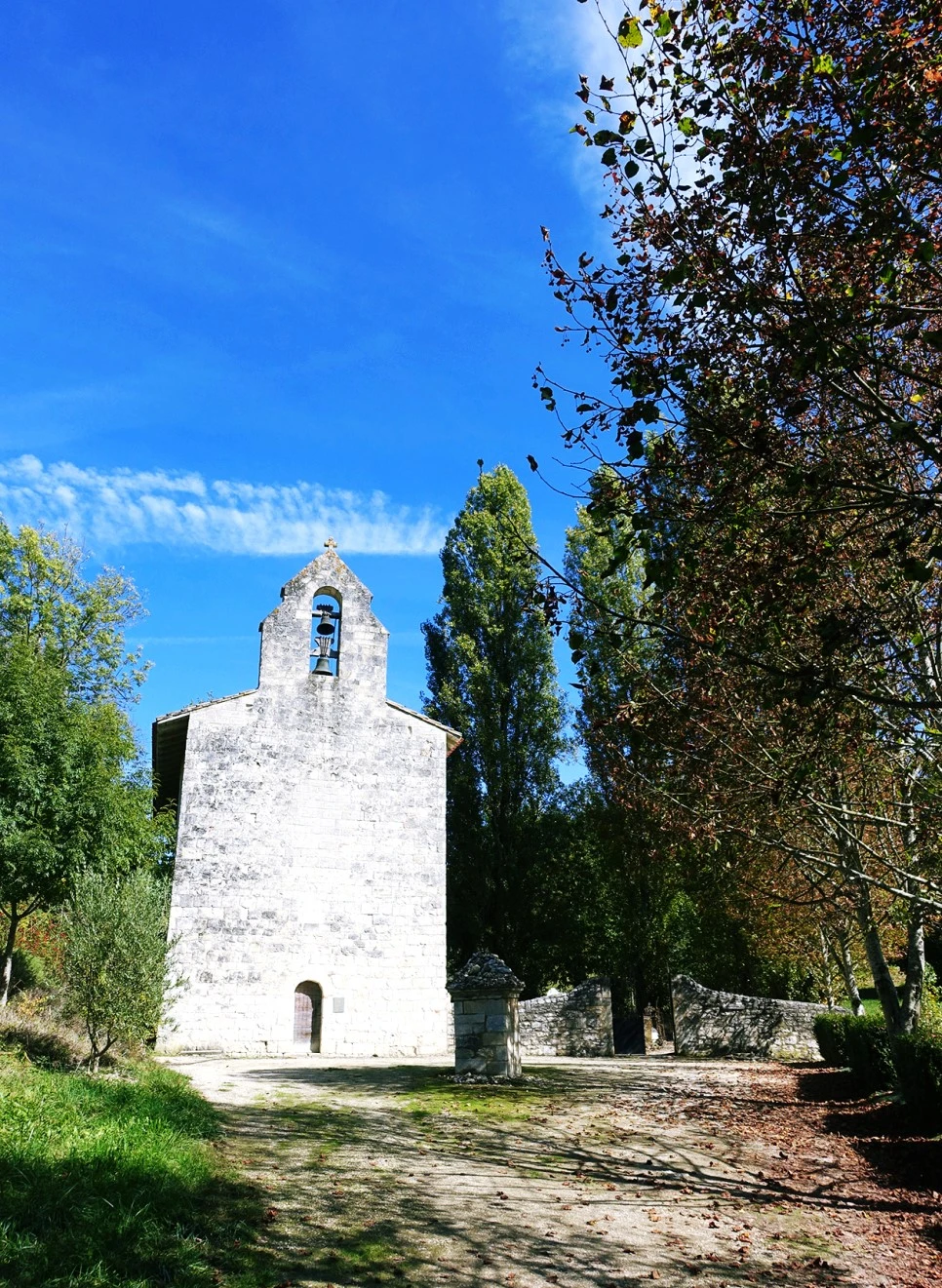 image_2541335521516670262778.jpg?type=w966