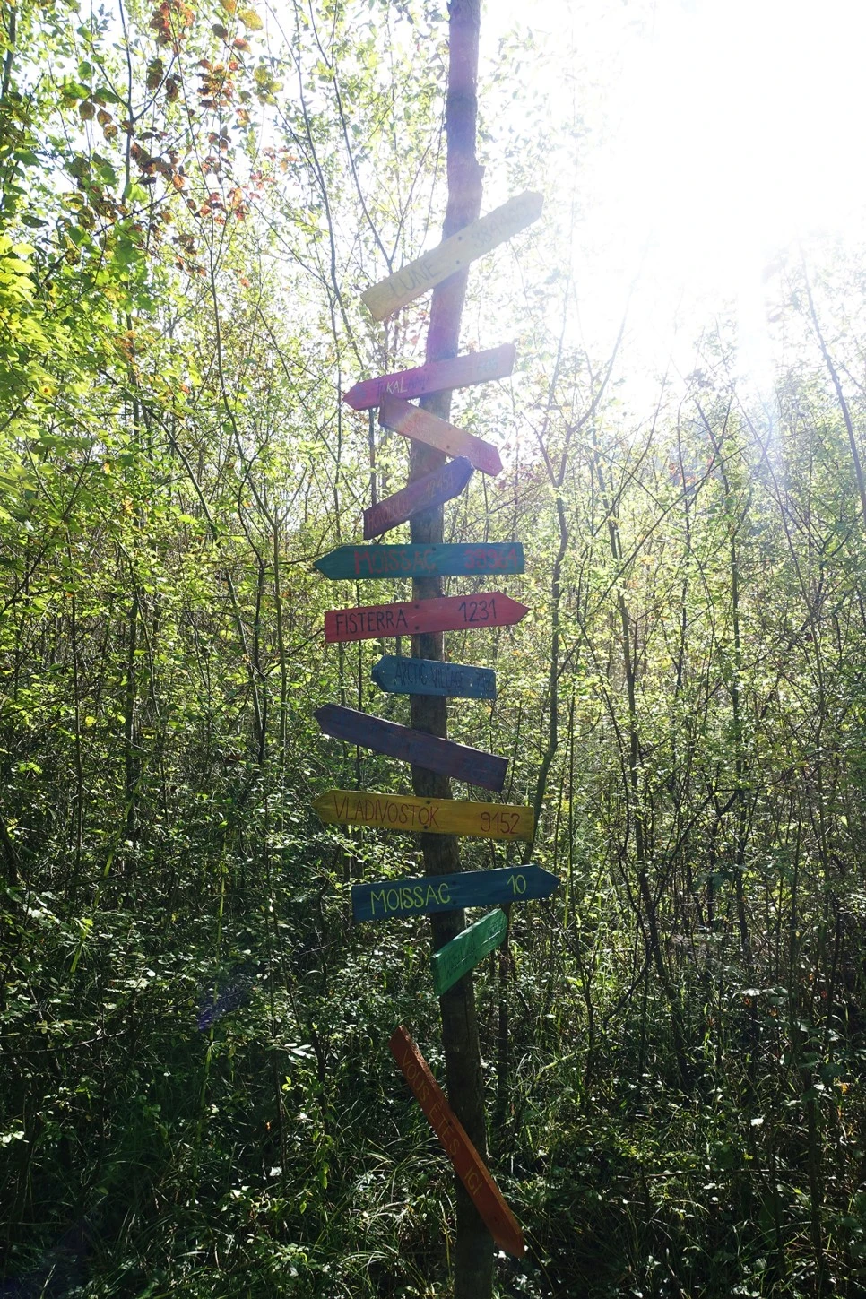 image_6731327131516700233604.jpg?type=w966