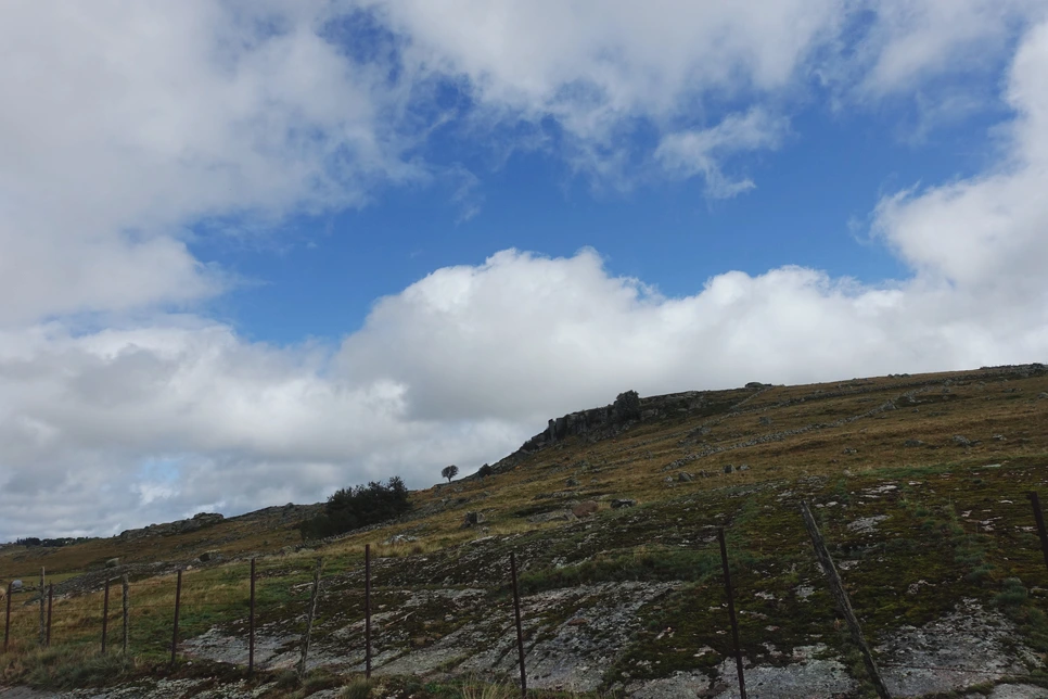 image_8518874101515513938525.jpg?type=w966