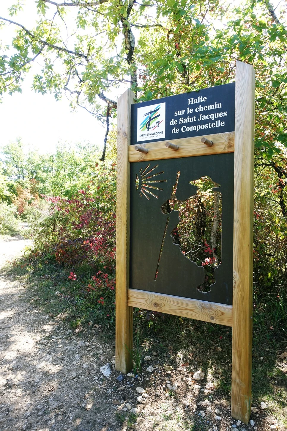 image_9451745771516670262793.jpg?type=w966