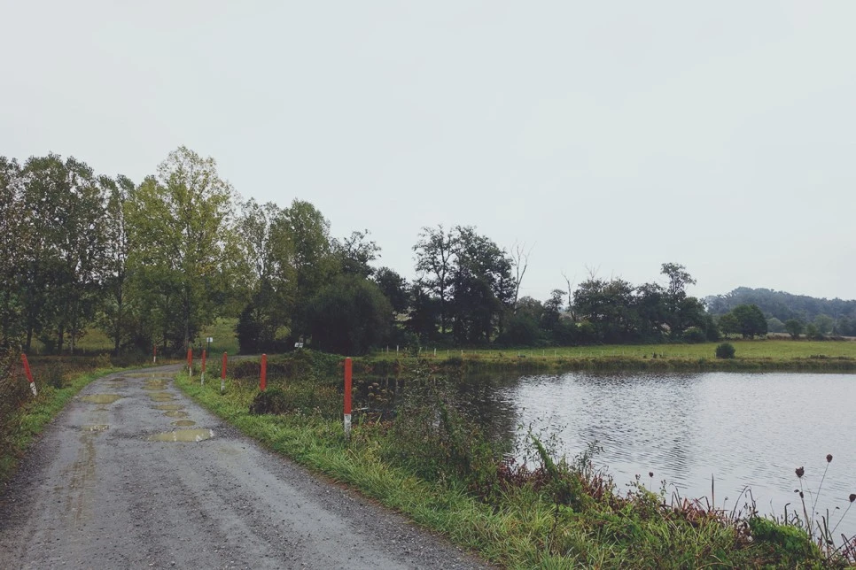 image_3307716141516117305382.jpg?type=w966