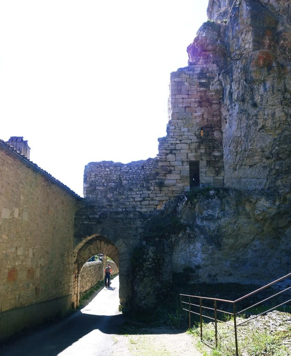 image_4209205541516374645728.jpg?type=w966