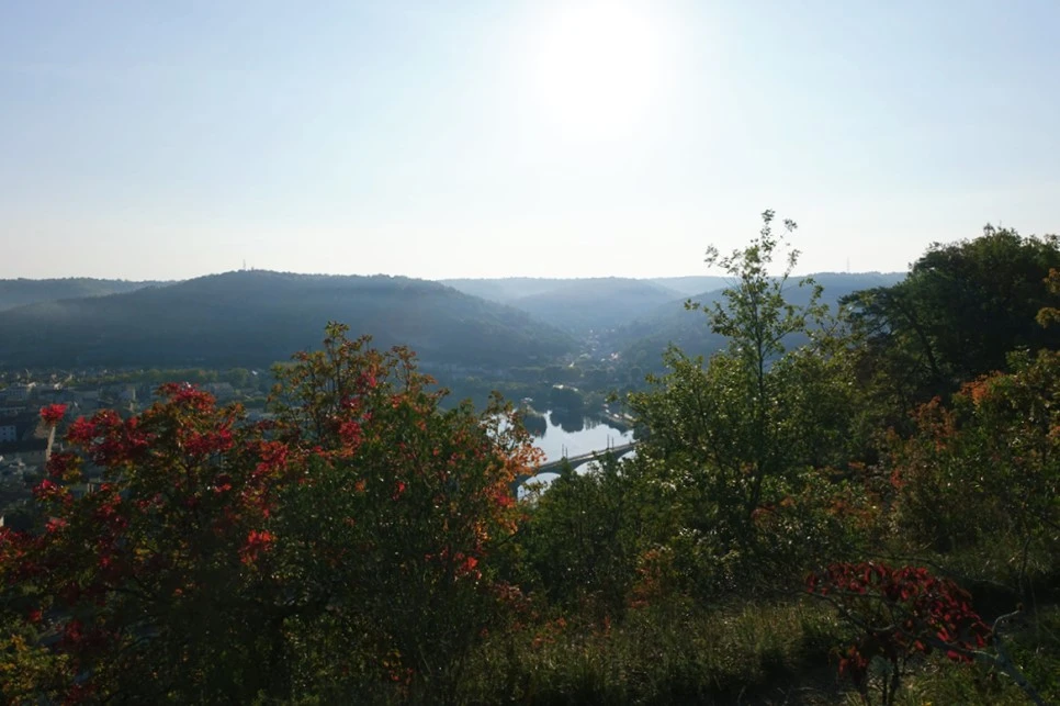 image_2596772061516633970675.jpg?type=w966