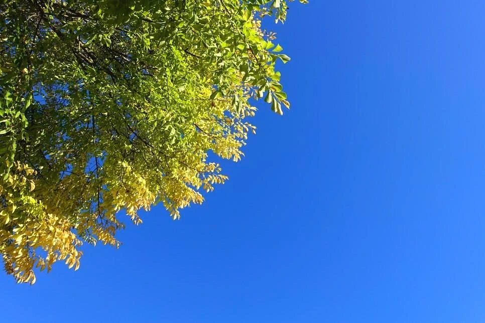 DSC02671.jpg?type=w966