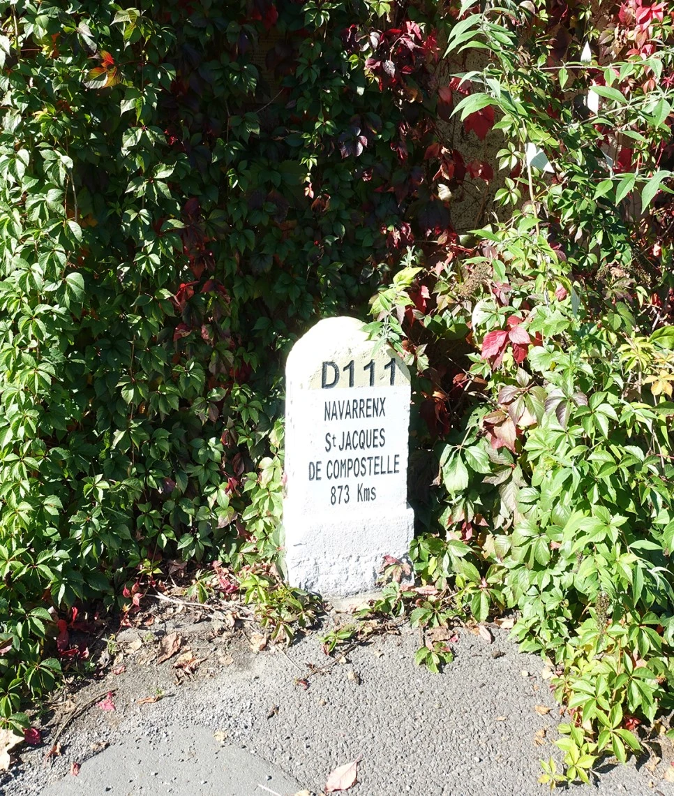 image_7383807831519039608647.jpg?type=w966