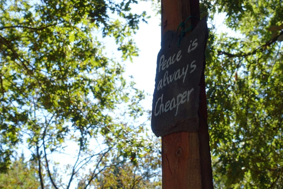 image_1648846241519039608642.jpg?type=w966