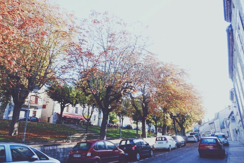 image_8009223391516670262925.jpg?type=w966