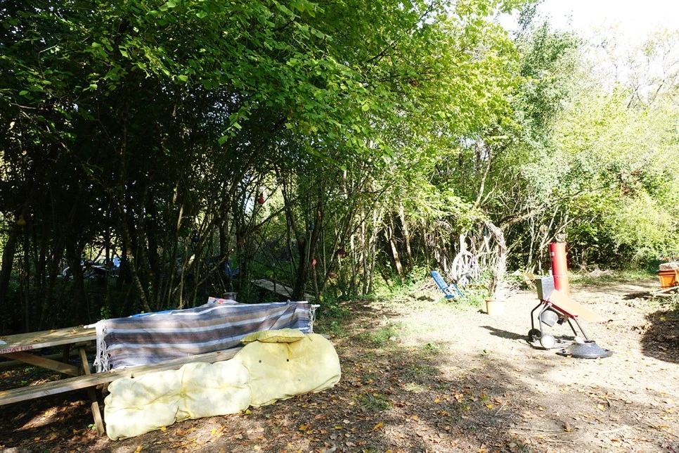 image_8074923611516700233586.jpg?type=w966