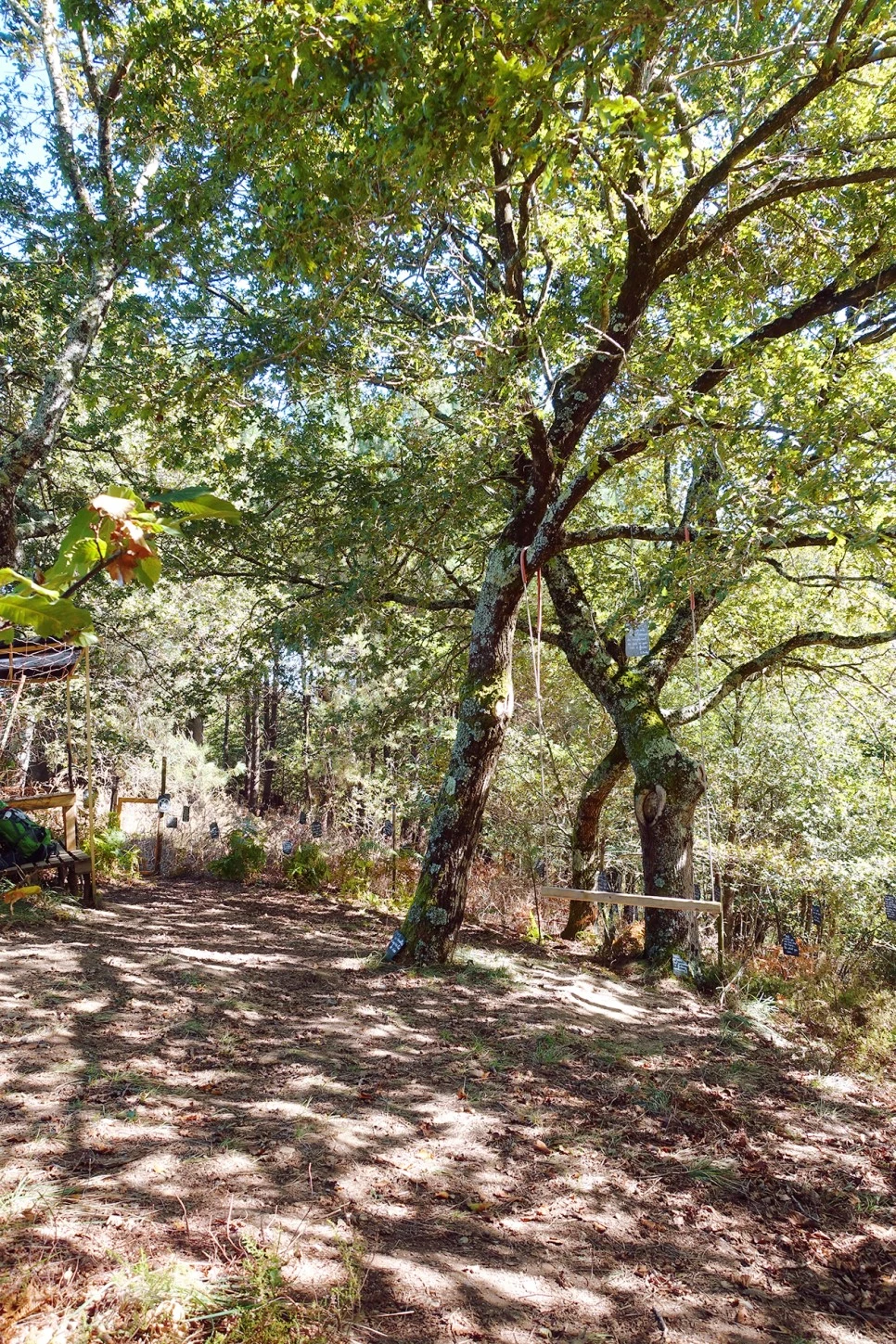 image_5924236111519039608642.jpg?type=w966