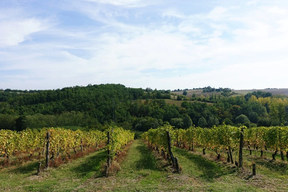 image_6207924821516700233572.jpg?type=w966