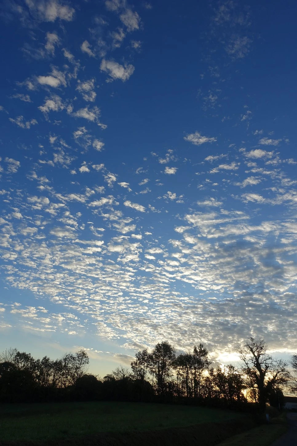 image_2705884891519039608634.jpg?type=w966