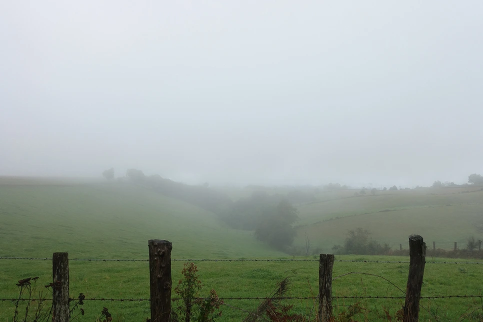 image_6171309731516115639185.jpg?type=w966