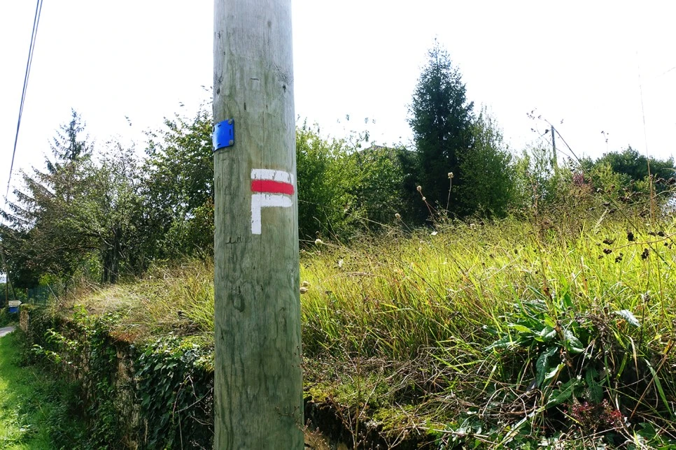 image_1100682601516117329385.jpg?type=w966