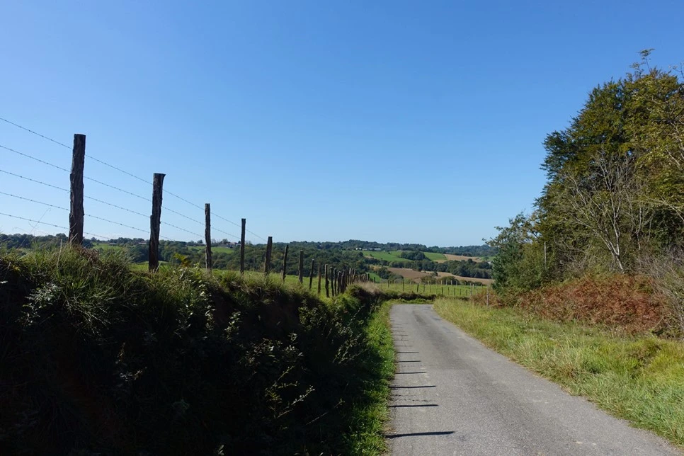 image_4282889361519039608642.jpg?type=w966