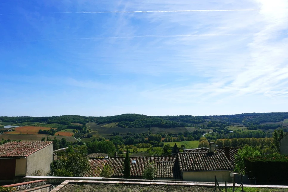 image_6633347401516670262798.jpg?type=w966