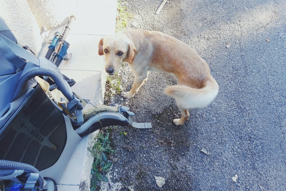 image_7491468791516670262968.jpg?type=w966