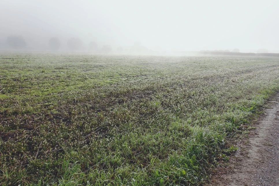 image_8924700481519039608640.jpg?type=w966