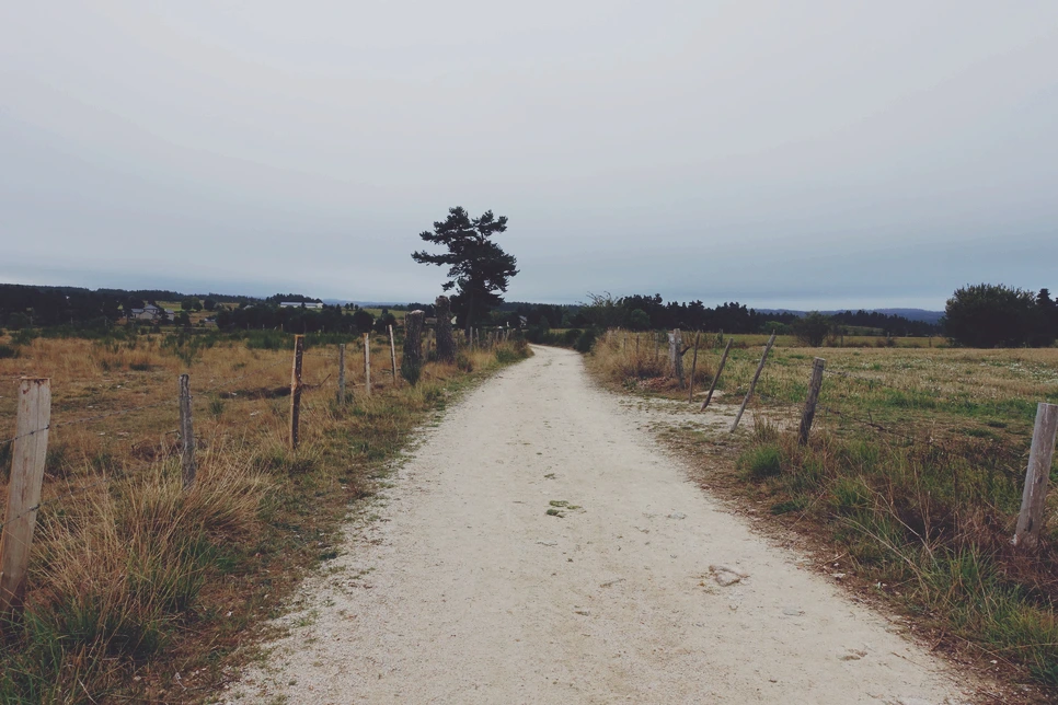 image_8246753951515422379083.jpg?type=w966