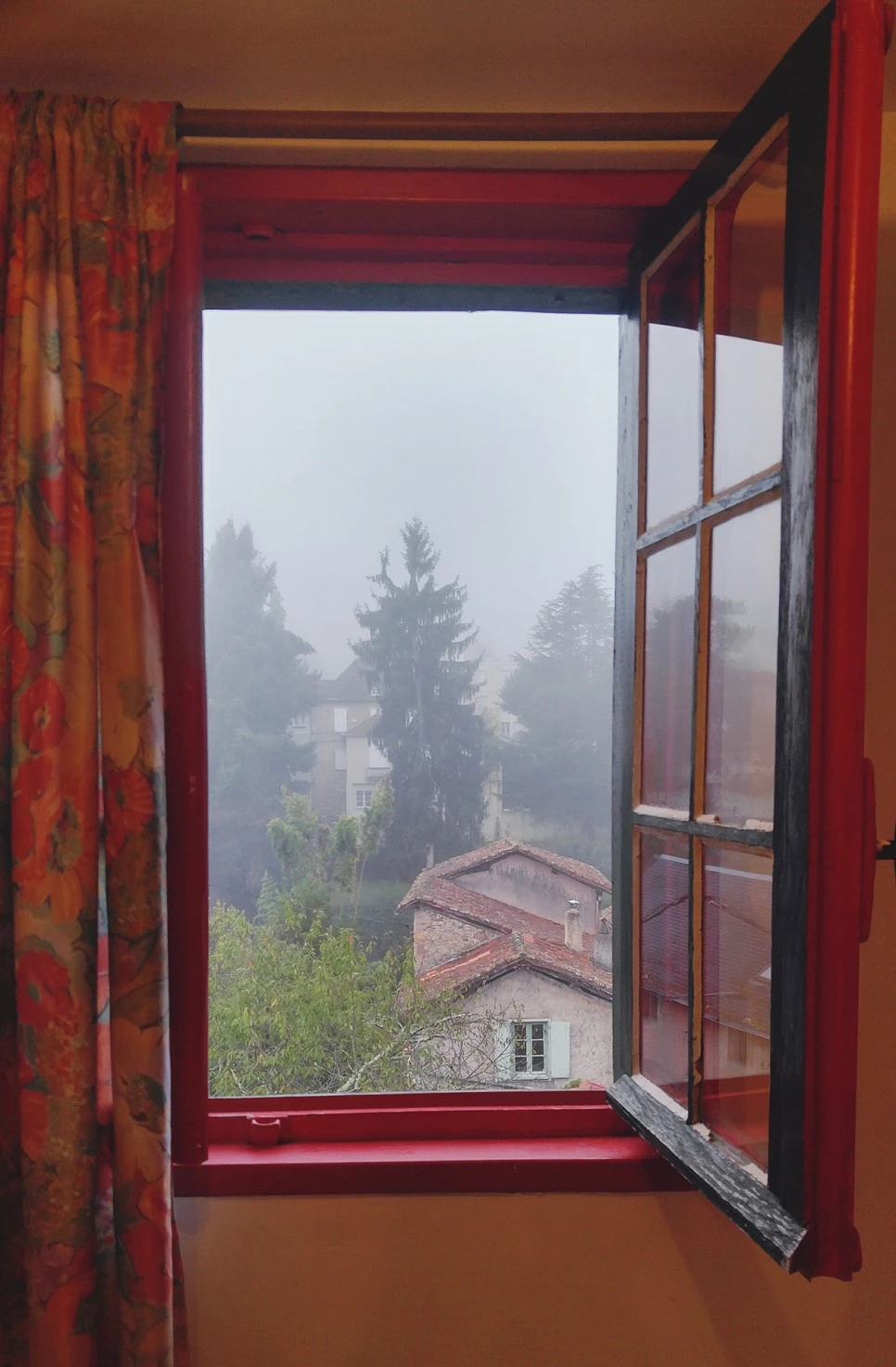 image_1876878581516288778961.jpg?type=w966