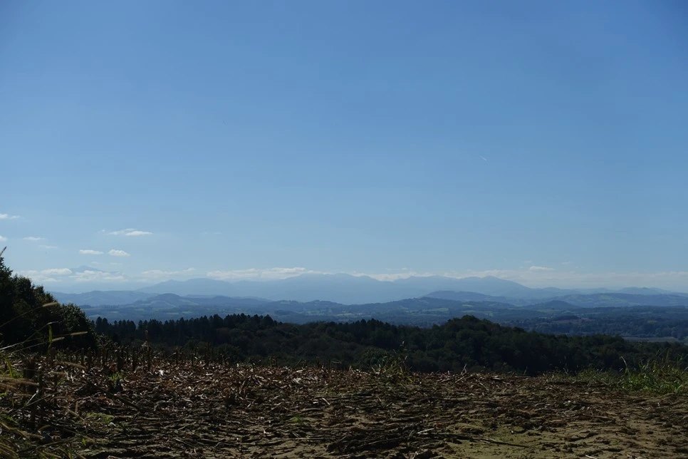 DSC02658.jpg?type=w966