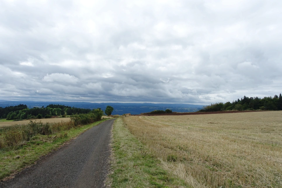 image_8988978821514899296280.jpg?type=w966