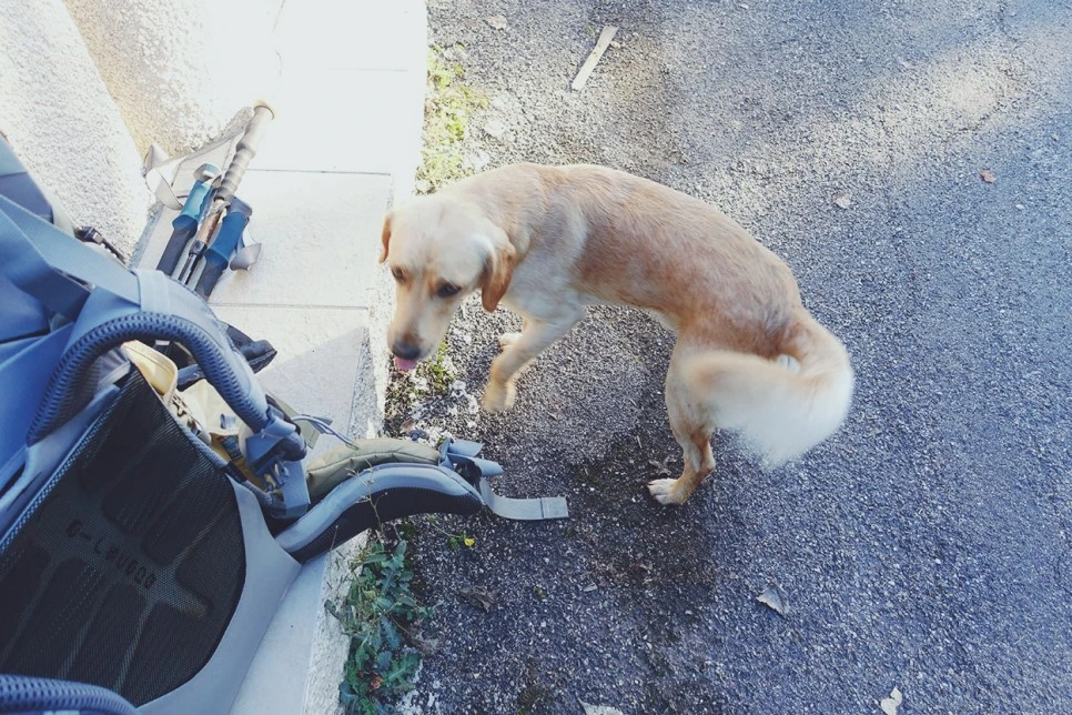 image_1490018401516670262956.jpg?type=w966