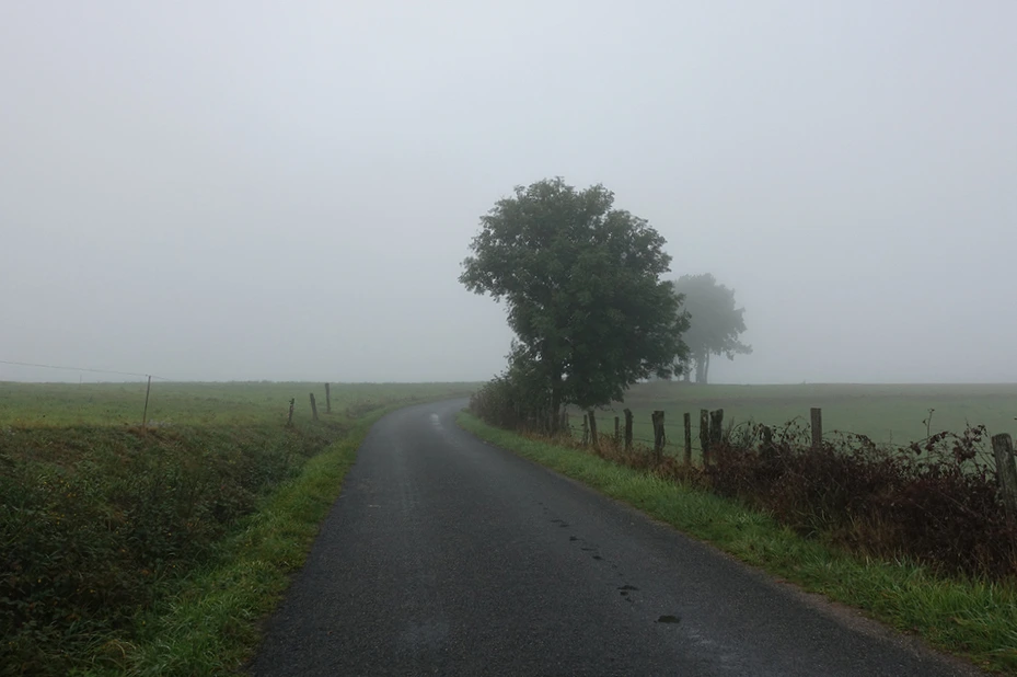 image_9732758221516115639184.jpg?type=w966