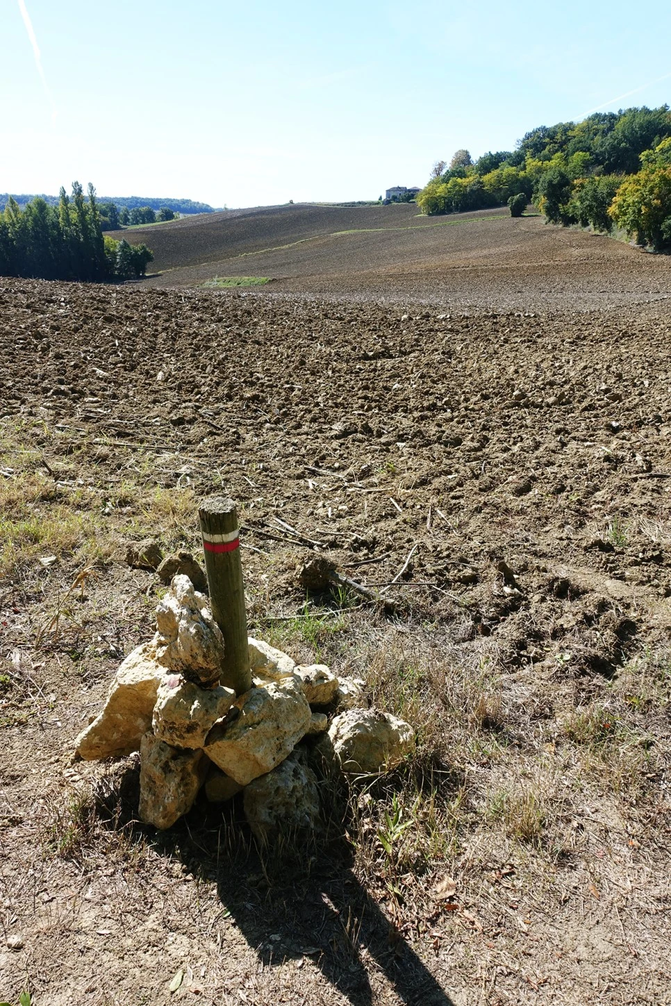 image_2720007561516670262816.jpg?type=w966