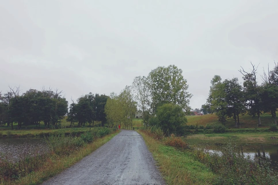 image_5125424651516117305382.jpg?type=w966