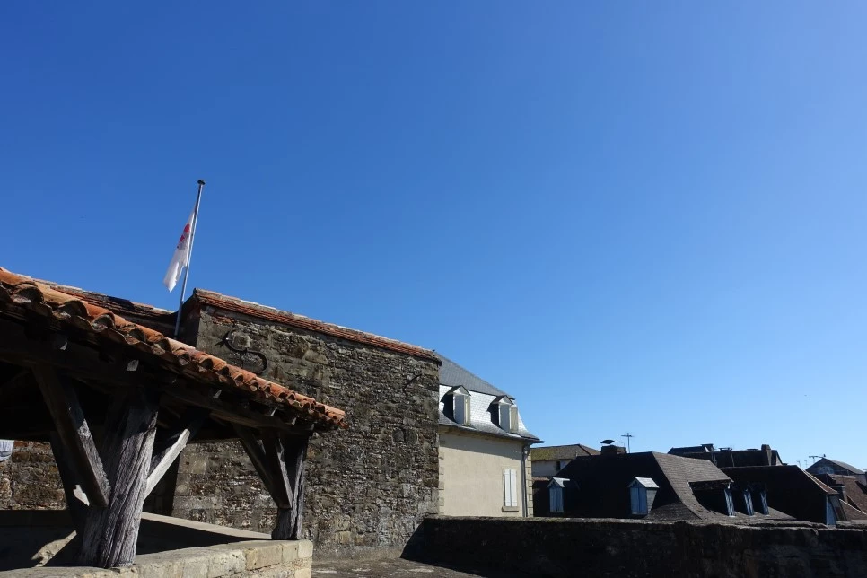 DSC02690.jpg?type=w966