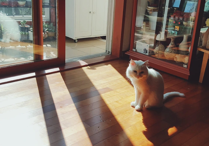 image_5442884891519039608625.jpg?type=w966