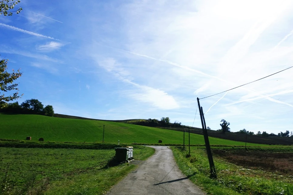 image_2295316311516670262768.jpg?type=w966