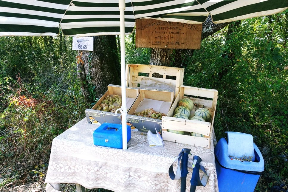 image_1825418581516670262775.jpg?type=w966