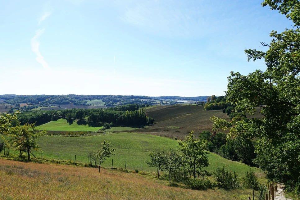 image_1748583731516670262824.jpg?type=w966