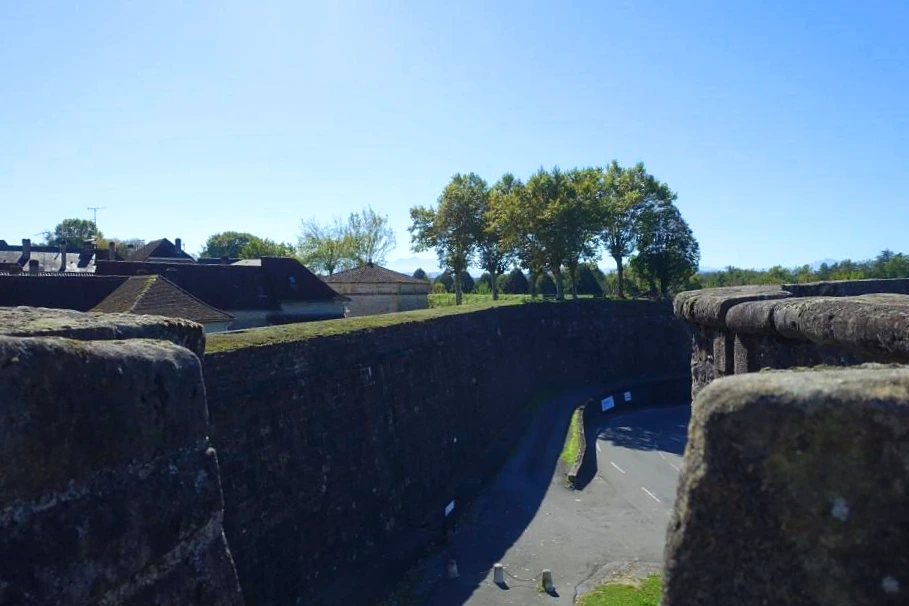 DSC02674.jpg?type=w966