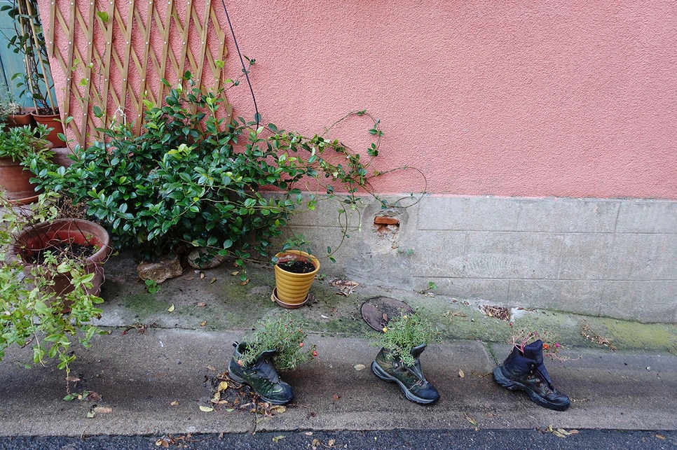 image_2757105641516115671186.jpg?type=w966