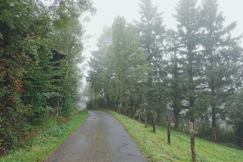 image_4035141711516117280139.jpg?type=w966