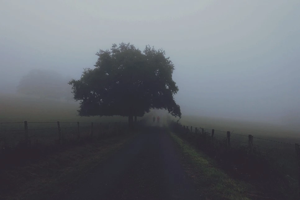 image_8232085101516117291040.jpg?type=w966