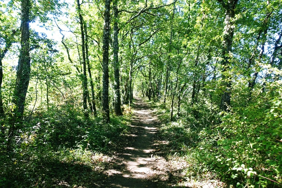 image_8692176011516670262859.jpg?type=w966