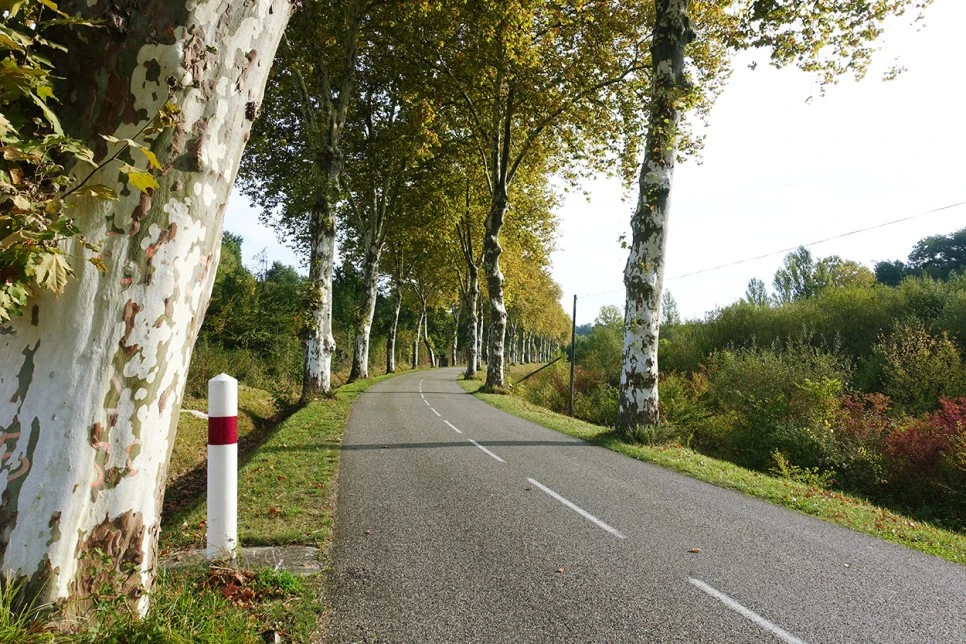 image_1884727661516700233616.jpg?type=w966