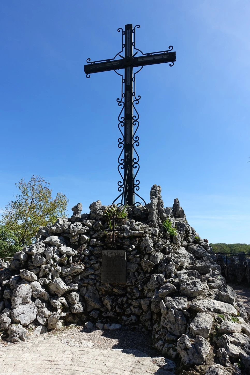 DSC01653.jpg?type=w966