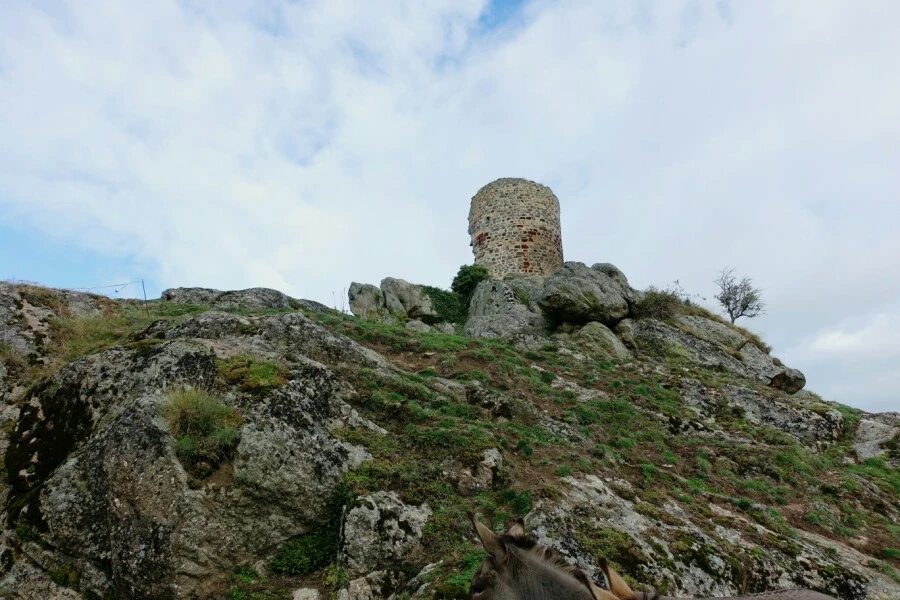 1514994779447.jpg?type=w966