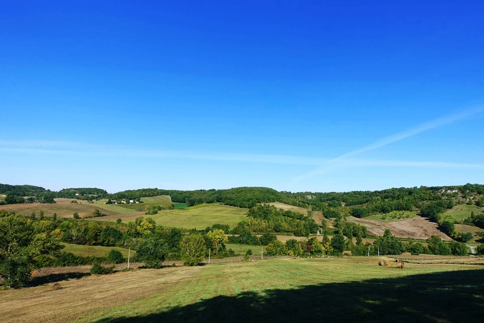 image_7325270601516670262888.jpg?type=w966