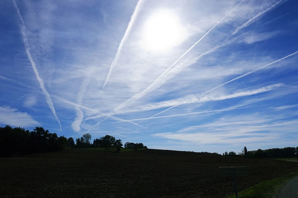 image_4384897641516670262727.jpg?type=w966