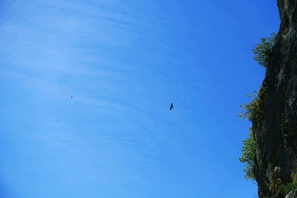 image_727460111516374121938.jpg?type=w966